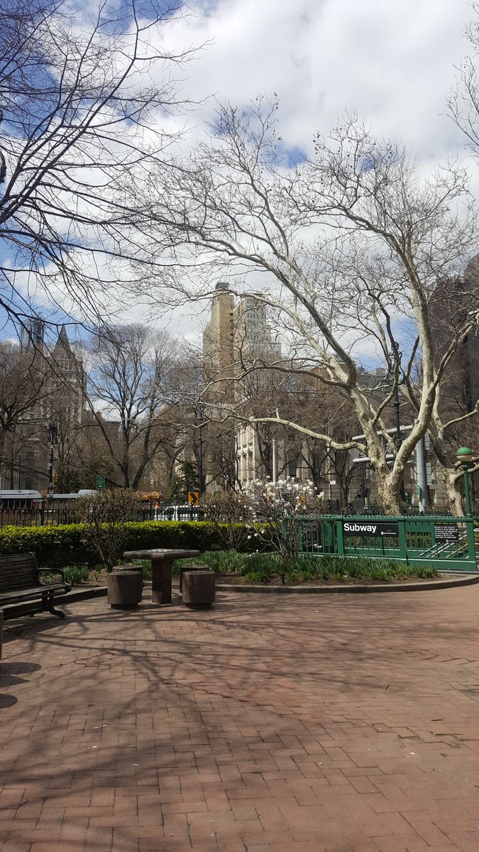 BullockTamara's tweet photo. Pred povratak u realnost #NYCskies https://t.co/DOjws71Au2