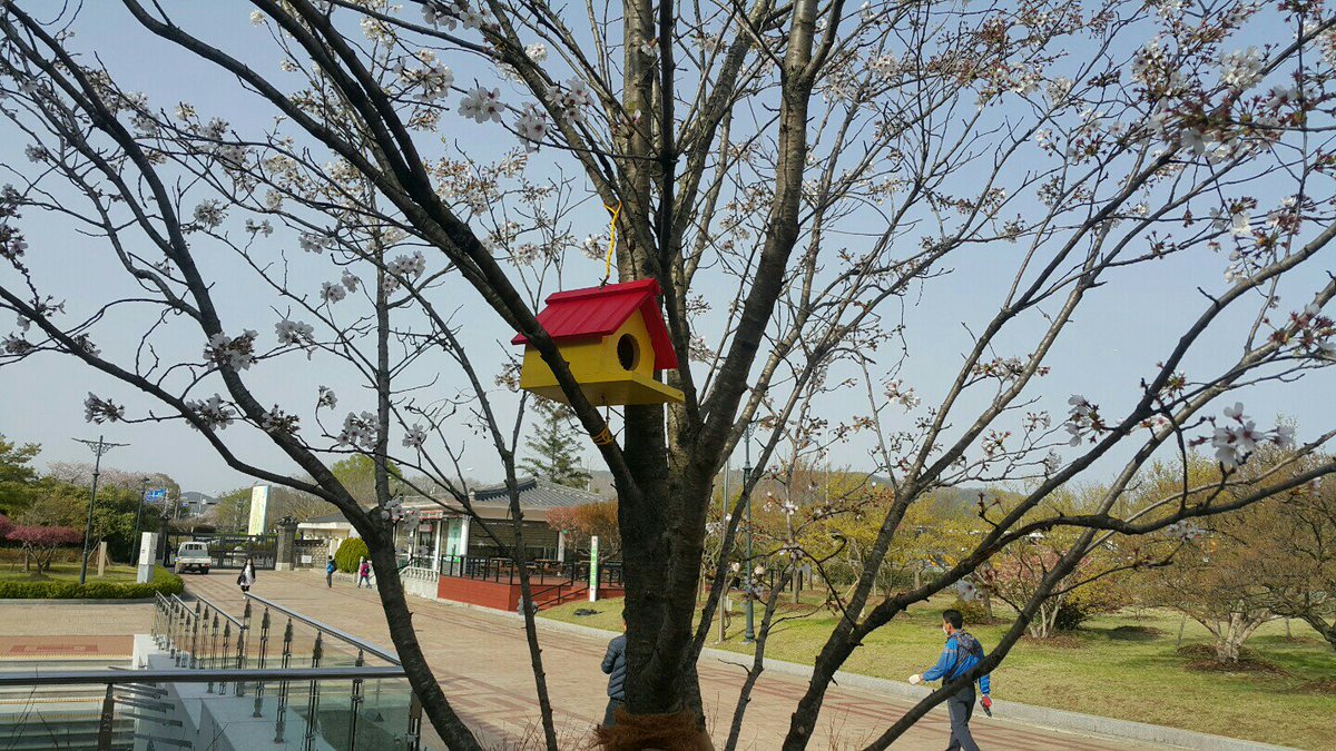 [#국립경주박물관풍경]
야생조류에게 안전한 보금자리를 제공하기 위해 곳곳에 예쁜 새집을 달았어요~~
동화의 나라로 변~신!! art해진 박물관^^
국립경주박물관에서 자연을 느끼고 사랑하는 마음을 가져보세요♡♡
#새집 #art #동화의나라 #자연 #사랑
