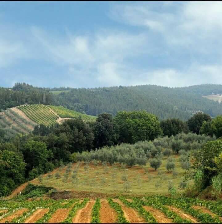 bnt3frin's tweet photo. وان إليها عائدون
الى ألوان قوس القزح 
وجذور السنديان 
والى ترابها المعطر برائحة الاباء والامهات 
الى مهد الشهداء الابرار 
فأنت رائحة الخبز وطعم الحياة 
لا وطن من بعدك 
هي عفرين لابديل عنها💚❤️💛صباح الخير من عفرين الى كل شريف بخاف على ارضو ☺️ https://t.co/CIZF7PGxDs