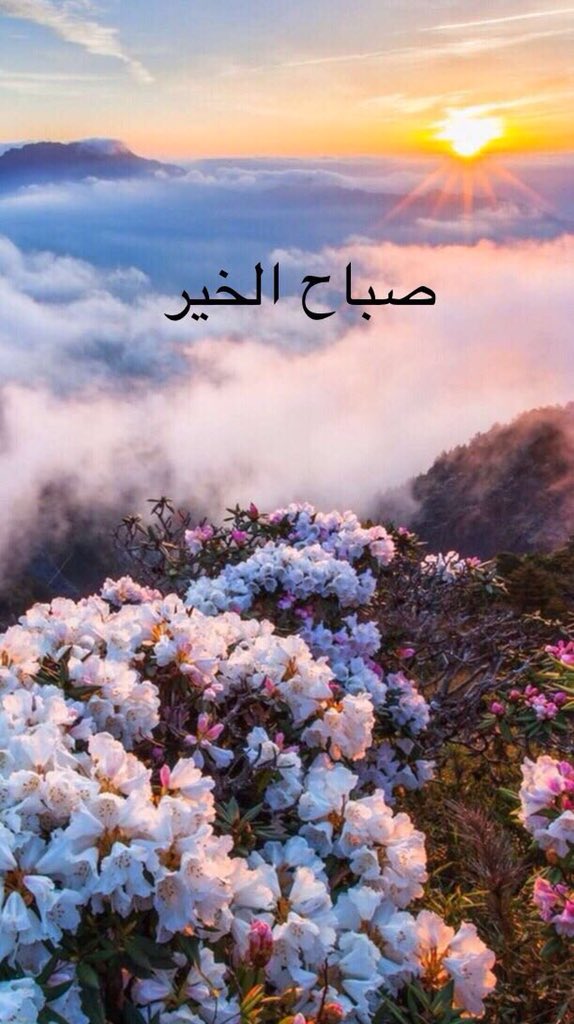 #صباح_الخير
يافارج الهم
وياكاشف الغم فرج همنا
ويسرأمرنا
وأرحم ضعفناوقلةحيلتنا
وأرزقنامن فضلك
ياهادي القلوب أهدي قلوبنا
وأشفي مريضنا
ومرضى المسلمين
وردالغائب منا
وأرحم من ضمه التراب
اللّهم لاتزّين لناعمل السوء وأهدناوأصلح أمورناولاتكلناإلى أنفسناطرفةعين
:
#أسيرةجروحي
#AsirtJro7i