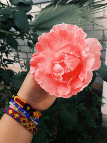 Fernandamtzsa's tweet photo. “No tomas una foto, la haces”
Ansel Adams 🌸💞
#Fsanchez #photograghy #Art https://t.co/xXKC8PwGAy