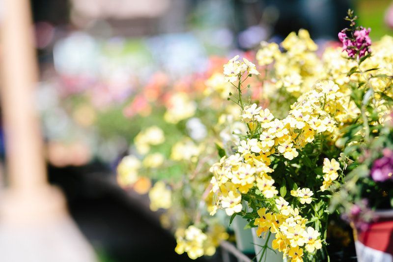 I know the weather doesn't show it, but Spring is here... I like to celebrate with a deep clean of the house, especially the kitchen and my workspace. (I know, it doesn't sound like much of a party. But it's awesome when it's done!)

What do you do to welcome the season?