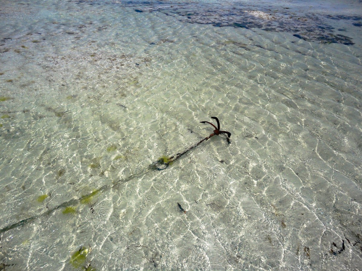 AskToUs_'s tweet photo. good morning from Watamu Beach 
⚓️💦💙 #Kenya 🇸🇸
.
[🚀] https://t.co/xp1zfUY10S
.
#AskToUs #TwitterDown 
#Tourlife #Edm #travel #Edmlife
#springbreak #bloggerswanted #tbtten #vero #Kenyak https://t.co/hz4gePrEaM