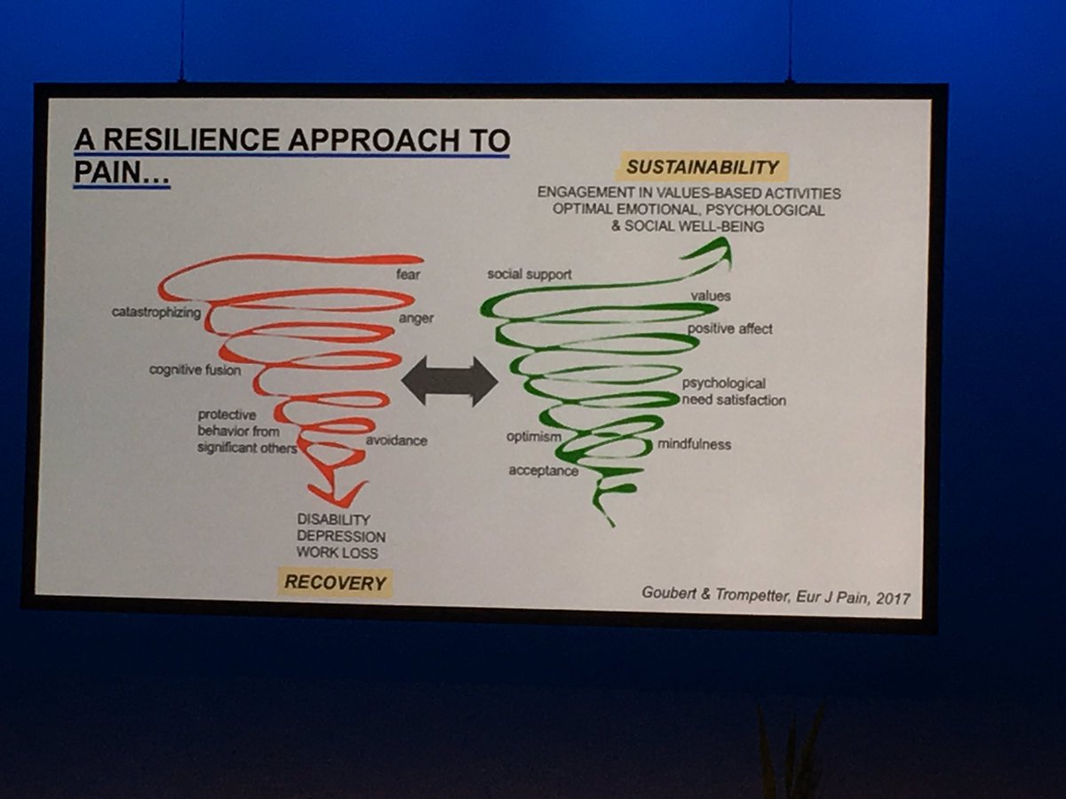 Prof Liesbet Goubert outlines theoretical perspectives on resilience & chronic pain #anzpain18