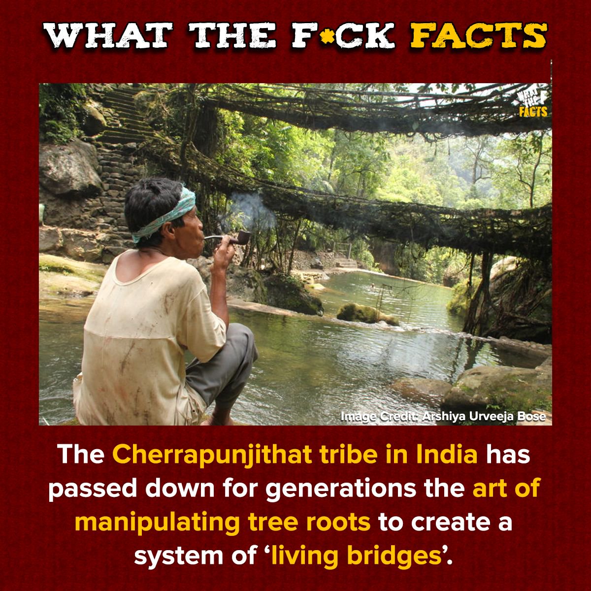 What The F*** Facts (@whattheffacts) on Twitter photo 