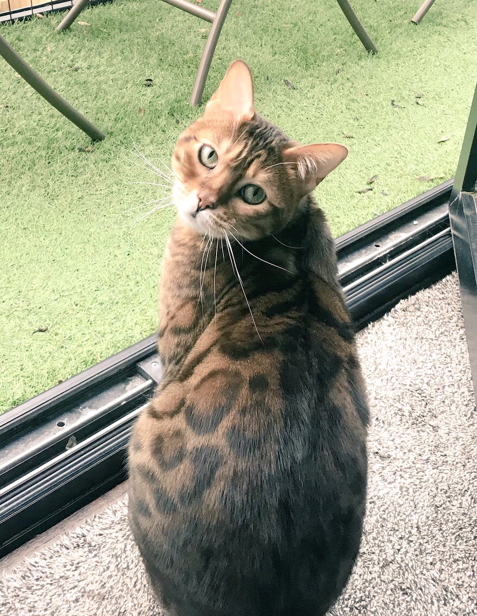 Percy loves Archie, Frank, Pi & Ted ❤️❤️ tweet media