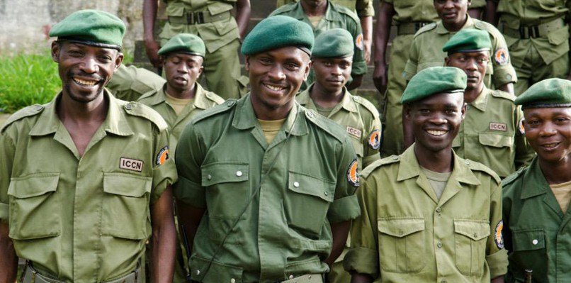 CITES's tweet photo. 'We know we may be killed': the rangers risking their lives for Virunga's gorillas https://t.co/CqnArAGMNW via @guardian 

Worldwide, over 100 rangers are killed every year while protecting our planet's #wildlife! #EndPoaching #EndWildlifeTrafficking https://t.co/XMNGW6YlOF
