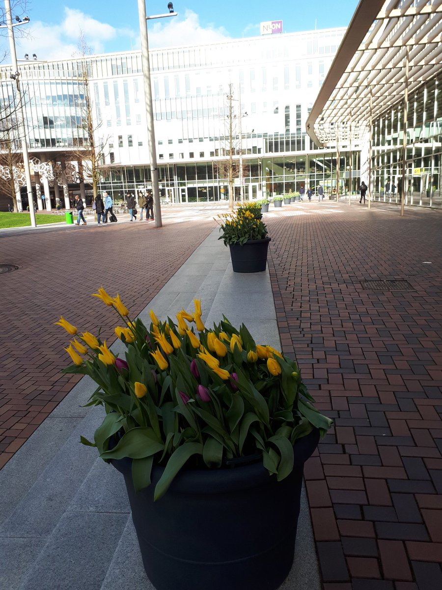 Ariane Volz tweet media