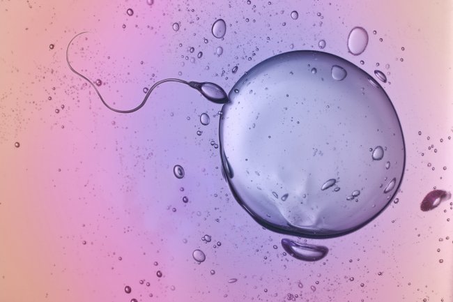 UTS_Science's tweet photo. Great article on @willaonthego's research into vaginal microbiome and fertility by @JeanHailes https://t.co/TkaXKKLGfw #infertility #microbiology #utsresearch #womenshealth #fertility #microbiome #obstetrics #gynaecology https://t.co/J4SSjx96Ob