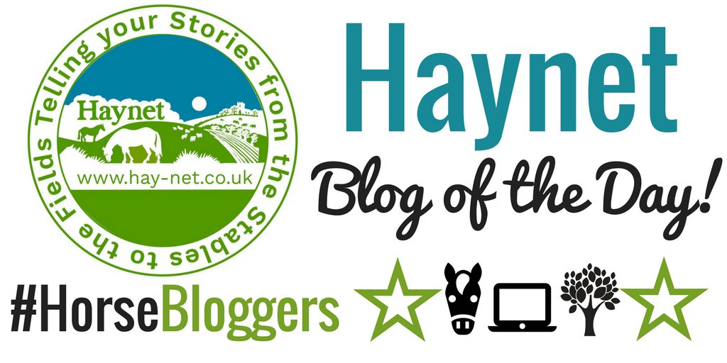 socialtailsmktg's tweet photo. Come and have a read and follow of Haynets Blog of the Day: CRK Training https://t.co/EohVuPzHRn @CRKTraining #HorseBloggers #horse #bloggers #equine #blog #write 🌟🐎✍️ https://t.co/8BEiRpgheh