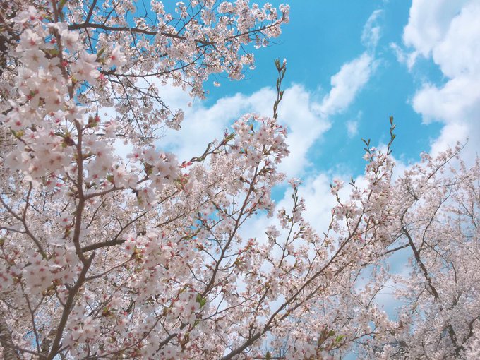 Twitterのコスプレ画像55