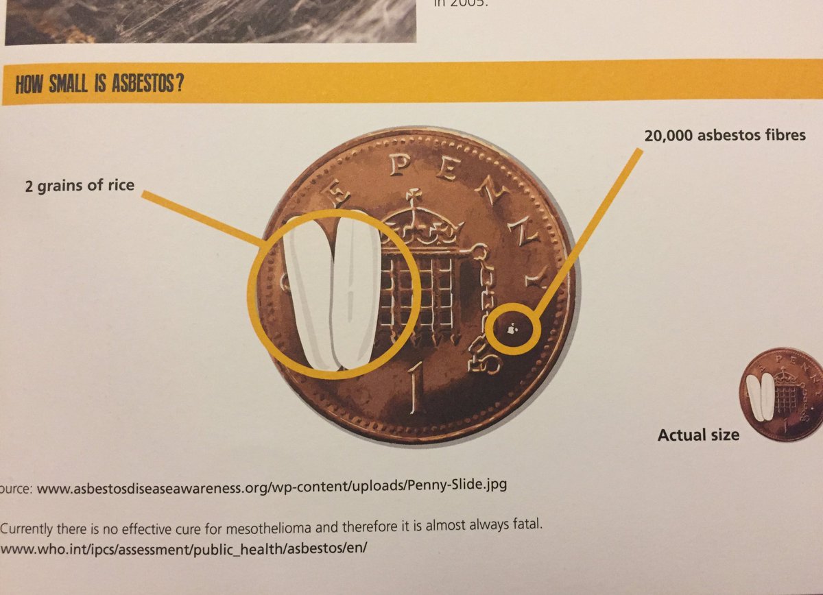 How Many Deaths Due To Asbestos