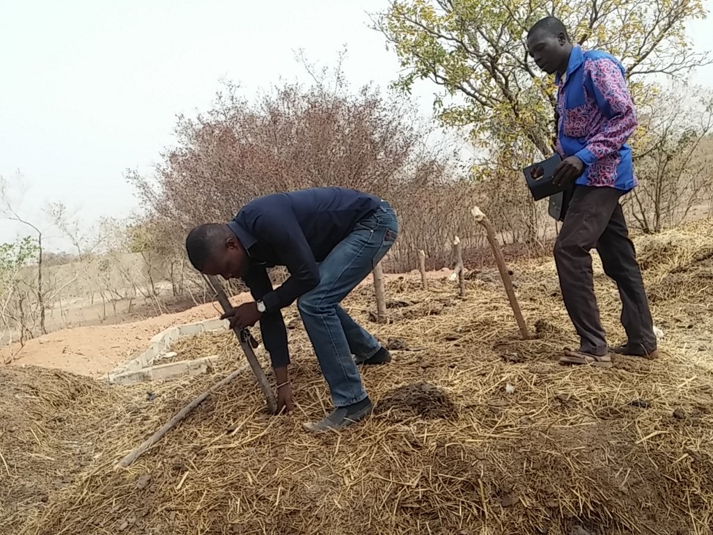 IMMERSION2020's tweet photo. L'agriculture peut réussir à tout le monde. Elle peut être développée sur un sol dit INFERTILE pour peu que vous ayez la volonté de réussir quelque soit la zone dans laquelle vous avez l'opportunité de vous établir.
#agriculture #Élevage #BurkinaFaso
https://t.co/Rj1XhncKUL https://t.co/YuxEnMmkm6