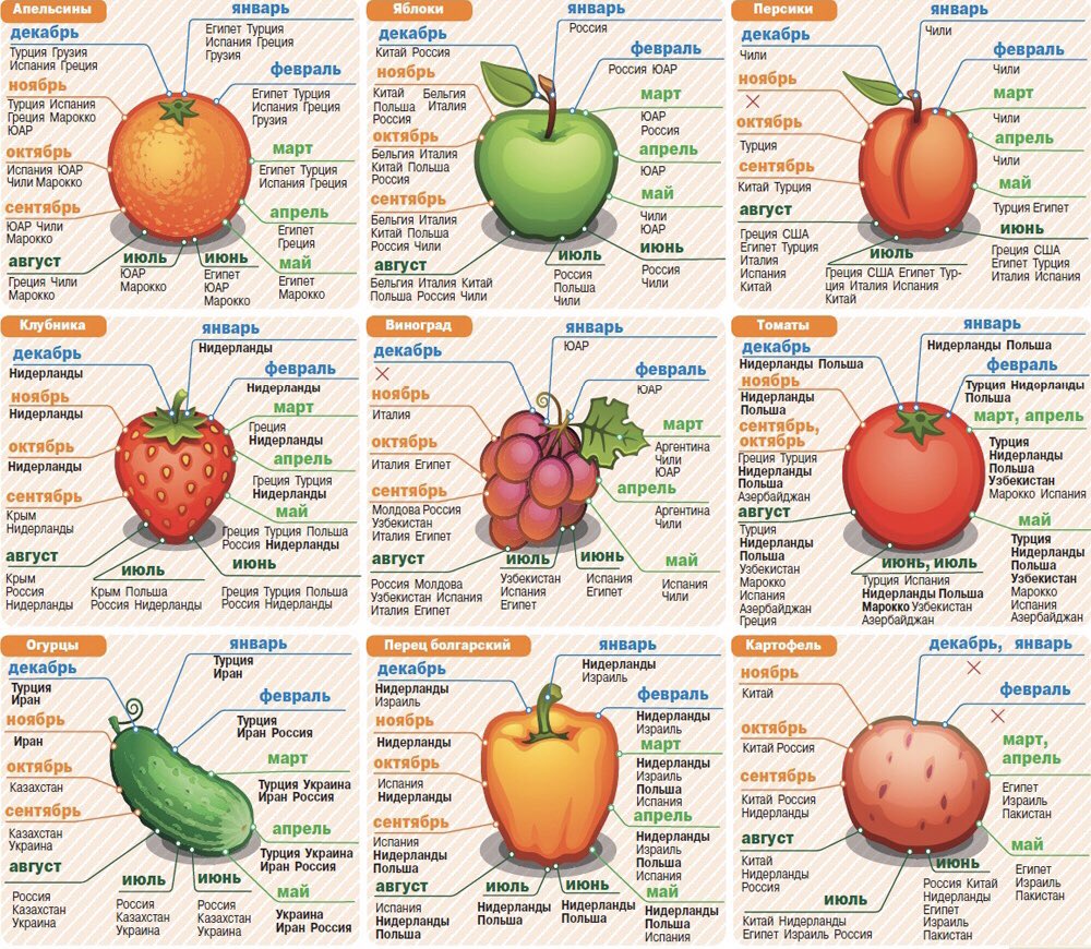 rosekoprodukt's tweet photo. Из какой страны к нам везут свежие,сезонные фрукты?🍊🥒Сохраните картинку себе!👍🏽 https://t.co/Mho0mruF2l