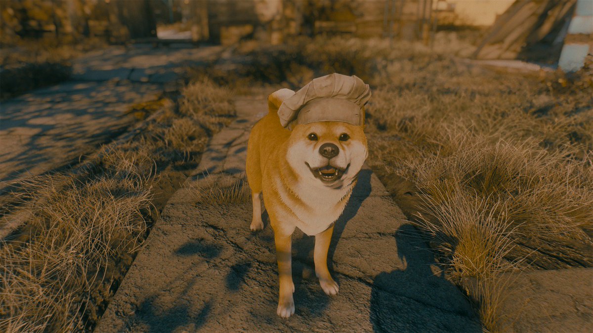 ピピ Fo4の建築士 シバイッヌに帽子を被せてみた 身体のサイズだけがドックミートに戻っちゃうようで デカ柴になってしまうんだけど大きいのもカワイイからイイわいな W Fallout4 T Co Zdqxvwvcwh Twitter