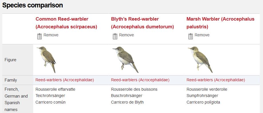 HBW Alive tweet media