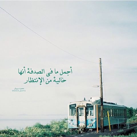 HadiMHarb's tweet image. اجمل ما في الصدفة انها خالية من الانتظار ~

- محمود درويش