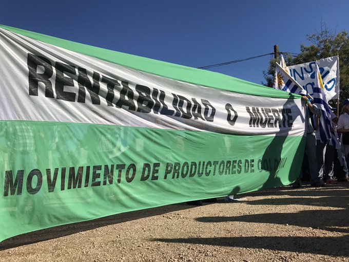 Ver imagen en Twitter