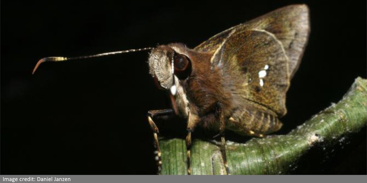 U.S. National Science Foundation tweet media