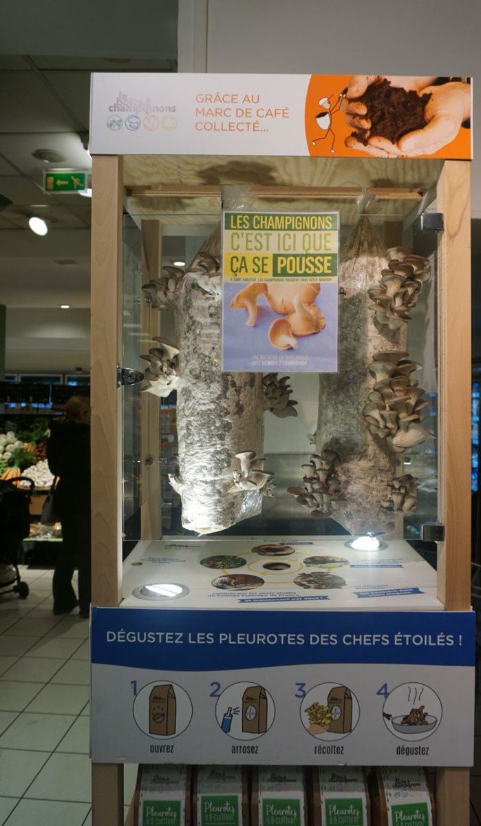 LSAconsommation's tweet photo. #Monoprix fait pousser l’agriculture urbaine dans ses magasins en s'associant à 2 start-up: la boite à champignons et Agricool
https://t.co/dQ7cHVon70 https://t.co/qzqMaunajN