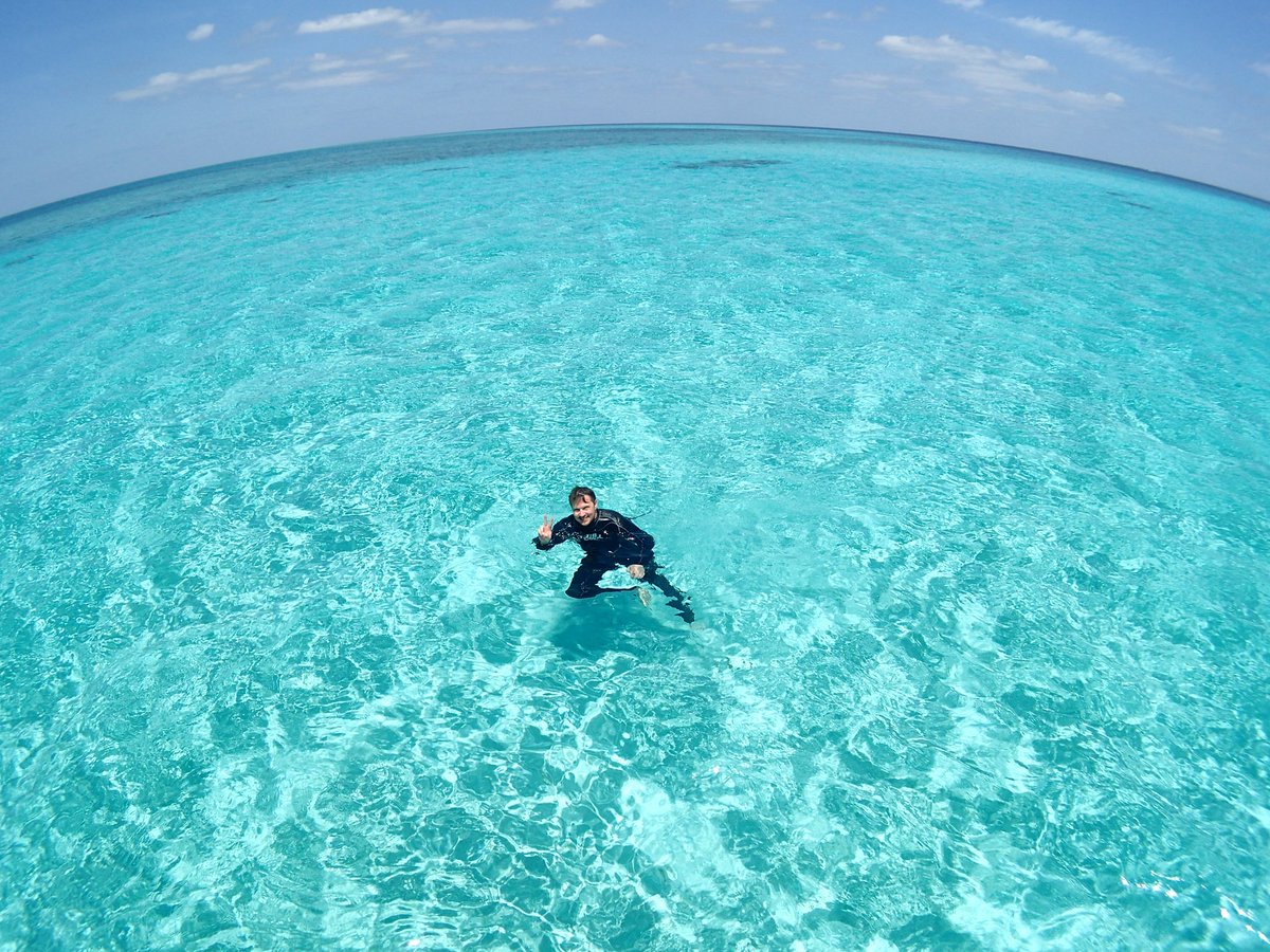 PacSetTravel's tweet photo. Fantastic moments snorkeling on our last day in Miyakojima
#miyakojima #snorkeling #pacsettours https://t.co/2OAQXlpdPW