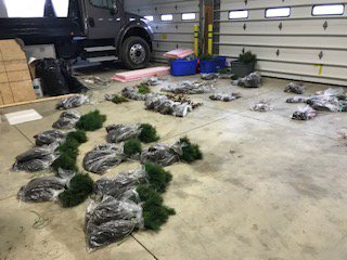 Stark_SWCD's tweet image. FYI trees are packed and ready for pick up! Monday, April 9th thru Thursday, April 12th 8:00am - 4:30pm are pick up times and dates. See ya all soon!
#starkswcd