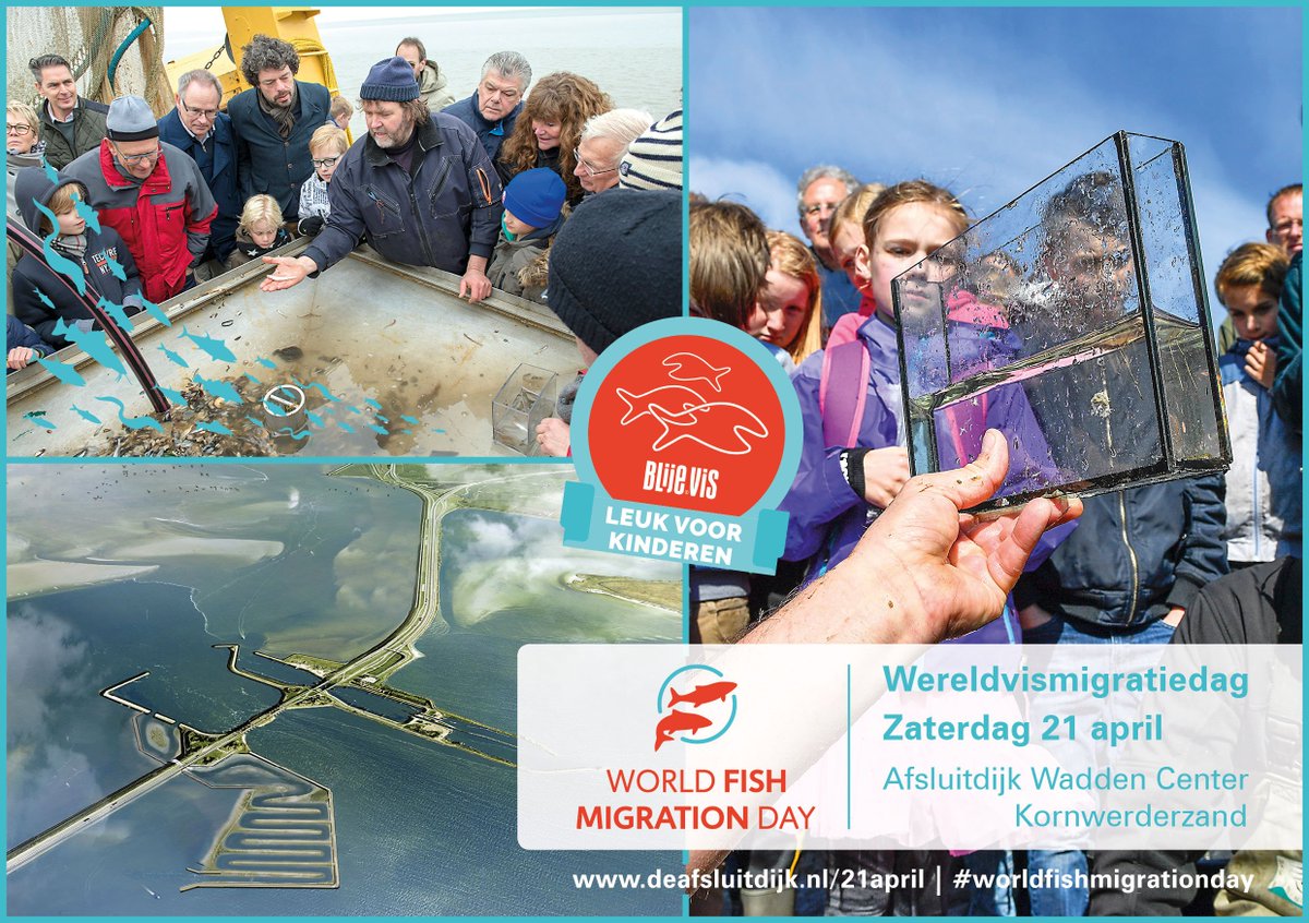 Een boottocht maken, een haai aaien of je eigen Vismigratierivier bouwen? Maak het mee op 21 april bij <a href="/AWC_Nederland/">AWC</a>. Check: deafsluitdijk.nl/21april #wereldvismigratiedag #worldfishmigrationday #LIFEprogramme