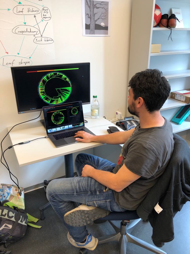 CrowtherLab's tweet photo. Here’s @ConstiZo looking at the evolution of autumn leaf coloration in temperate trees. He wants to find out why some trees turn red (by actively producing anthocyanins) while others turn yellow or stay green. #labupdates #eth #zurich https://t.co/P8PbMnjd0j