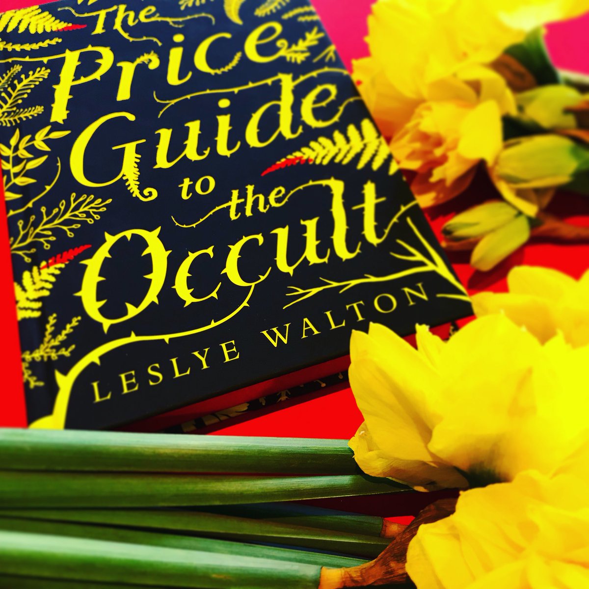 AlwynFJH's tweet photo. She turned to the sunlight
And shook her yellow head,
And whispered to her neighbor: ‘Winter is dead’ 🌼#ThePriceGuideToTheOccult #LeslyeWalton #Bookstagram #BooksAndFlowers #TheQuoteisMilne #ButIAmInLovewithLeslyeWaltonsWriting https://t.co/56N0F7qkJj https://t.co/5PRoS6maBS