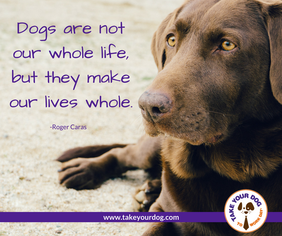 takeyourdog's tweet image. "Like" if your dog makes your world a brighter place. #dog #inspiration #mondaymotivation