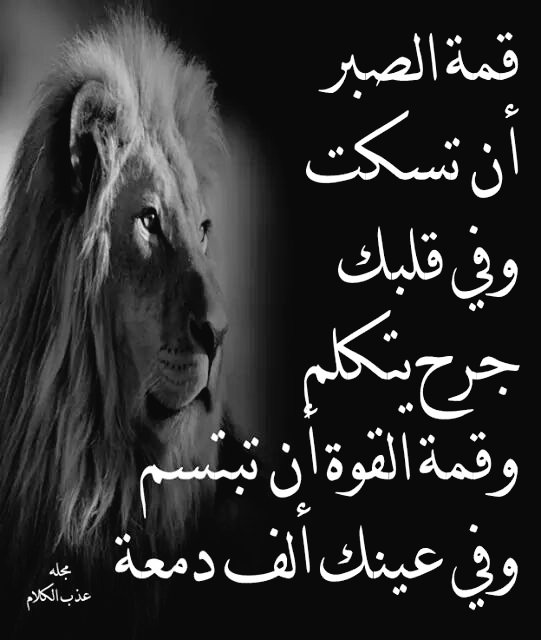 iraqi363's tweet photo. https://t.co/8t0f8V91av