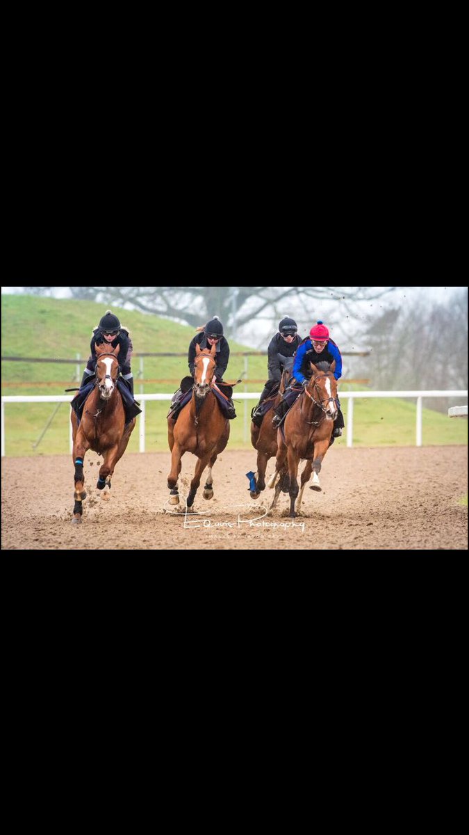 A busy morning @ChelmsfordCRC galloping a lovely bunch of horses including Rajasinghe, Keyser Soze and a handful of unraced two year olds. #excitingtimes #theflatisback