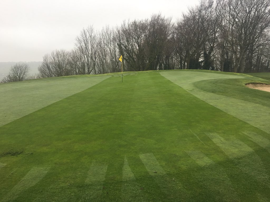 MarkSim93794378's tweet photo. Height of cut taken down this morning and greens cut #greenkeeping #levelsurfaces #clippings @KingsdownGC https://t.co/8jRJBqnA3U