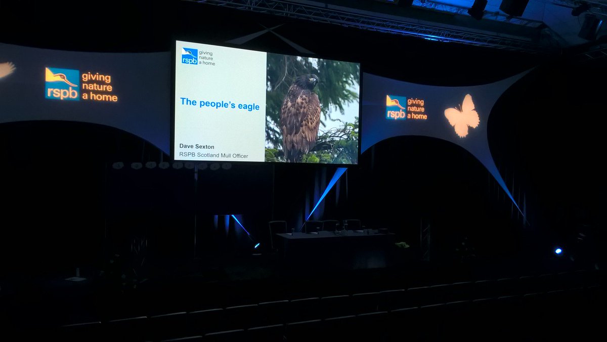 skyeandfrisa's tweet photo. Good to see the big #Mull birds on the big screen @Natures_Voice #RSPBweekend & hopefully few potential future visitors to @MullEagleWatch @NWMullCommunity @whitetailgin @Argyll_IslesApp @ExploreArgyll @whitetailgin @VisitMull_Iona @IsleMullCottage ποΈββοΈπ¦
Pic @PeteWalkden1973 https://t.co/k84qZe2mVA