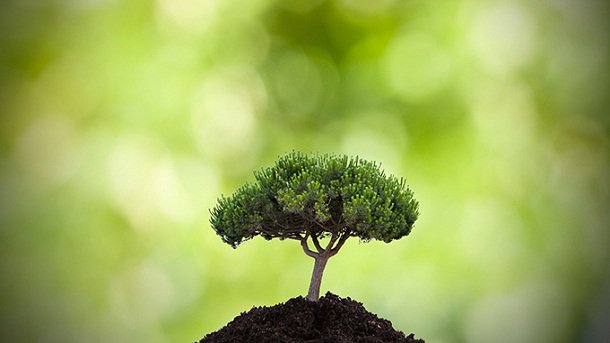 CANEnvironmentl's tweet photo. Environmental Site Assessment Professional - https://t.co/73unH5LUFE
#BiologicalResource
#Phase1Environmental
#GeotechnicalEngineering
#EnvironmentalConsultants https://t.co/3YoOGAuS7R