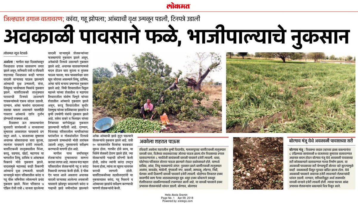 RajratnaSh's tweet photo. #Lokmat#Akola#
#पावसाने_फळे_भाजीपाल्याचे_नुकसान# https://t.co/yn0KT7fTjt