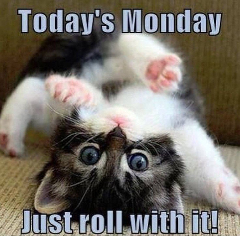 eb_roofing's tweet photo. It won't be long before it's over, just #rollwithit #monday https://t.co/aIc6rNm8X2