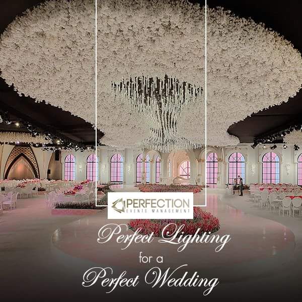 Perfectionae's tweet photo. Lighting Setup In Collaboration With One Of Our Main Partners Le Mariage #perfection #myperfection https://t.co/Nyhh6QyhJh