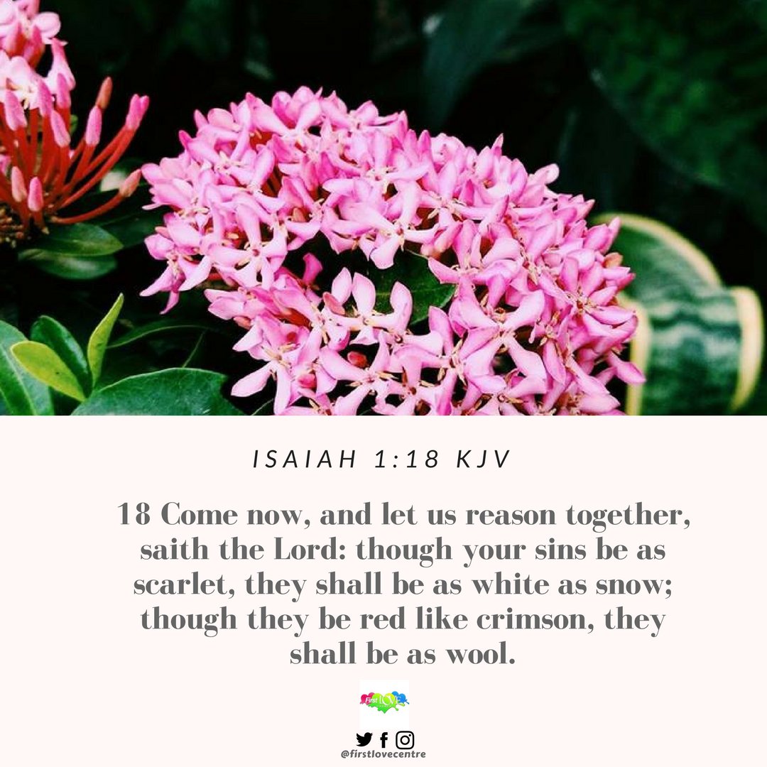 FirstLoveCenter's tweet photo. #DailyWord #QueitTime #DHMM
======================
THE BEST https://t.co/MVsPwpIDHF