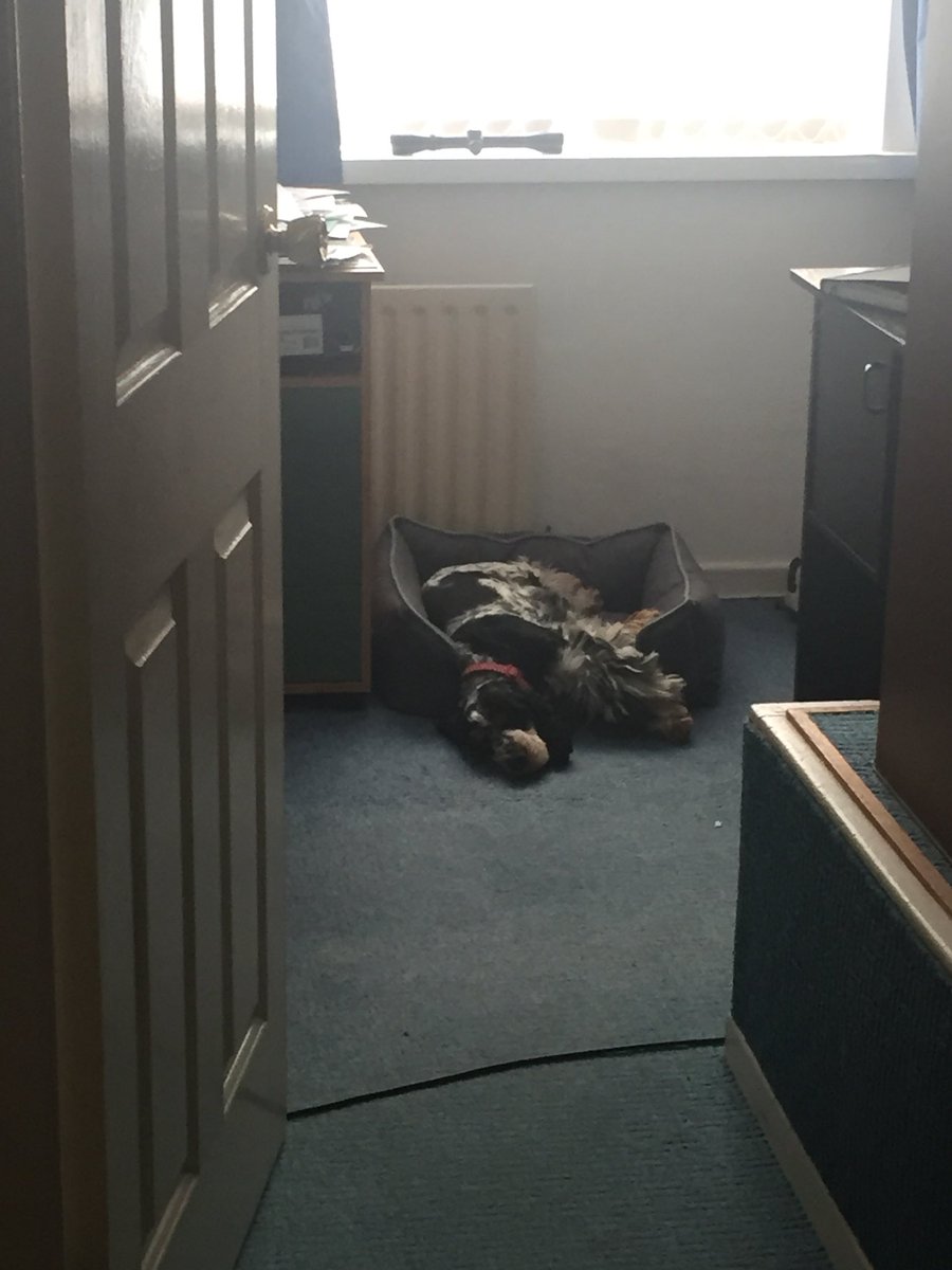 Mattysammo's tweet image. This morning’s mood..#CBA