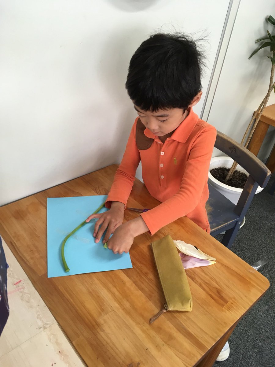 MSTokyoCedar's tweet photo. A tulip from our garden had wilted and fallen on the floor over the weekend. Knowing teachers didn’t clean it up. Child A:“Someone broke the flower!” Child B: “No! It’s just wilted!” Botany lesson and work follows shortly after. #MSTbotany #MSTsunshine #MSTinspiration https://t.co/DlJYMR9cTM