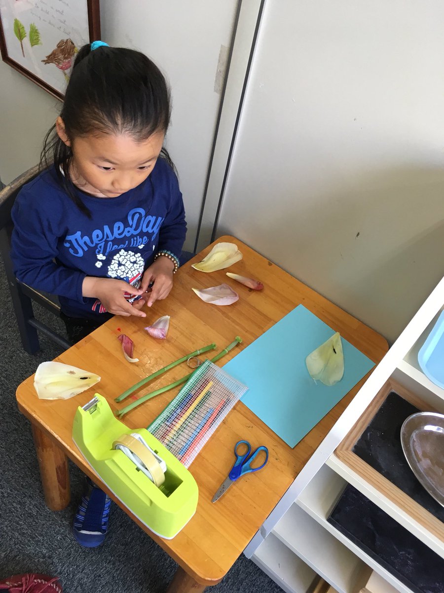 MSTokyoCedar's tweet photo. A tulip from our garden had wilted and fallen on the floor over the weekend. Knowing teachers didn’t clean it up. Child A:“Someone broke the flower!” Child B: “No! It’s just wilted!” Botany lesson and work follows shortly after. #MSTbotany #MSTsunshine #MSTinspiration https://t.co/DlJYMR9cTM