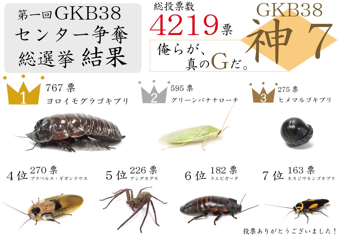 ট ইট র 竜洋昆虫自然観察公園 Gkb38センター争奪総選挙結果発表 総投票数4219票中767票を獲得したヨロイモグラゴキブリが１位に そして大変嬉しいことに 得票数0のゴキブリはなし つまりすべてのゴキブリたちが誰かの心に響いたということ みんな違って