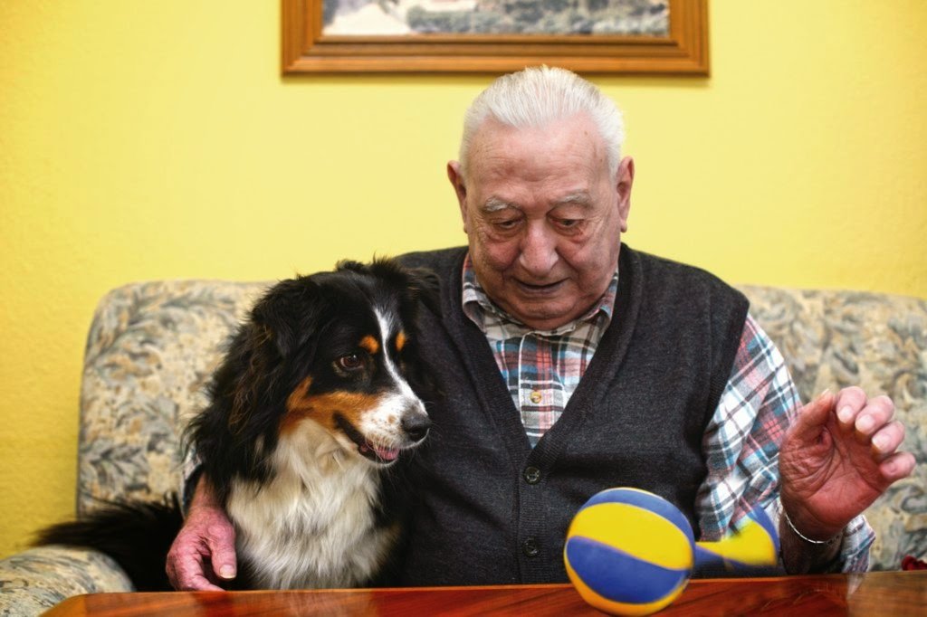 DogAidSociety's tweet photo. Forever After- Did you know the Society offer a free dog bequeath service? This means we will take care of your dog after your death. This gives peace of mind that they will be well cared for. Call us on 0131 668 3633 to request the forms. https://t.co/8BCTNYThNF