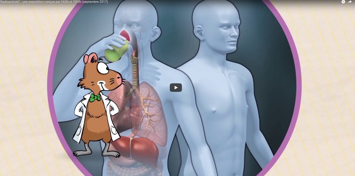 "Radioactivité : des centaines de questions, une exposition" : visitez l'expo ASN/IRSNFrance, salle des fêtes d'Avoine (37), où aura lieu demain 10 avril à 18h la réunion publique de la CLI de la centrale #nucléaire de #Chinon. asn.fr/Informer/Expos…