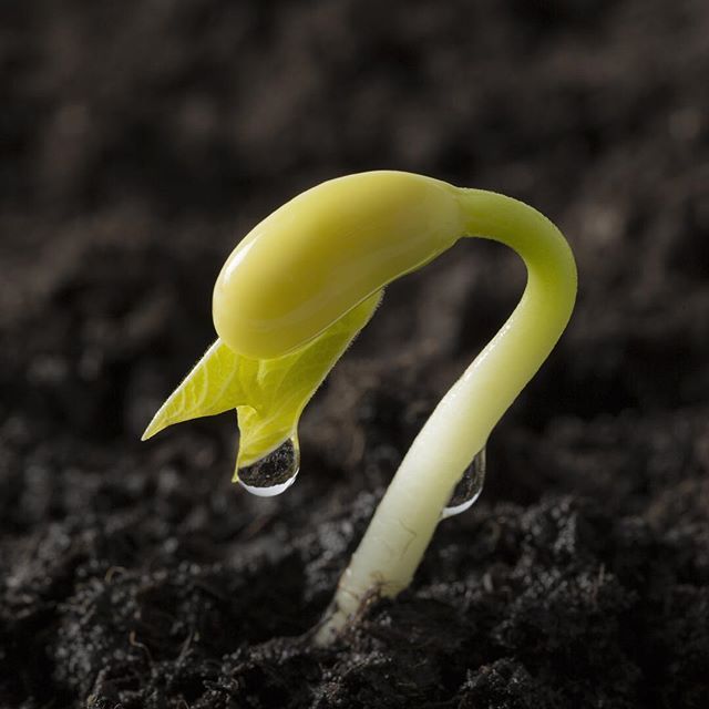 To most people this is just dirt. To a farmer, it is potential. 👨‍🌾👩‍🌾🌱🌱