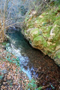 StaCristinaAro's tweet photo. Vols venir a descobrir aquests paratges?? Diumenge 15 d'abril sortim de ruta
+informació i reserves: oficinaturisme@santacristina.cat
#rutes #rutesguiades #senderisme #sortidaenfamilia #sortidesengrup #actiuinatura #costabrava #santacristina #emporda #visitsantacristina https://t.co/M4oHZABwYD