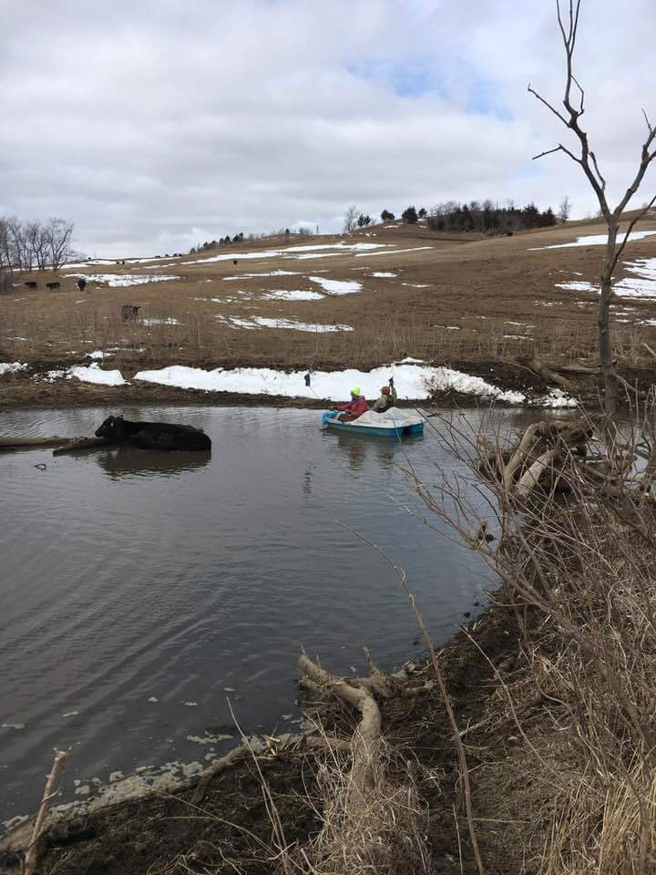 brhayes21's tweet photo. This must be the @daysof56 board members working on a new event for this year's rodeo? Team roping from the paddle boat. #ranchlife https://t.co/s7RjYsKm5T