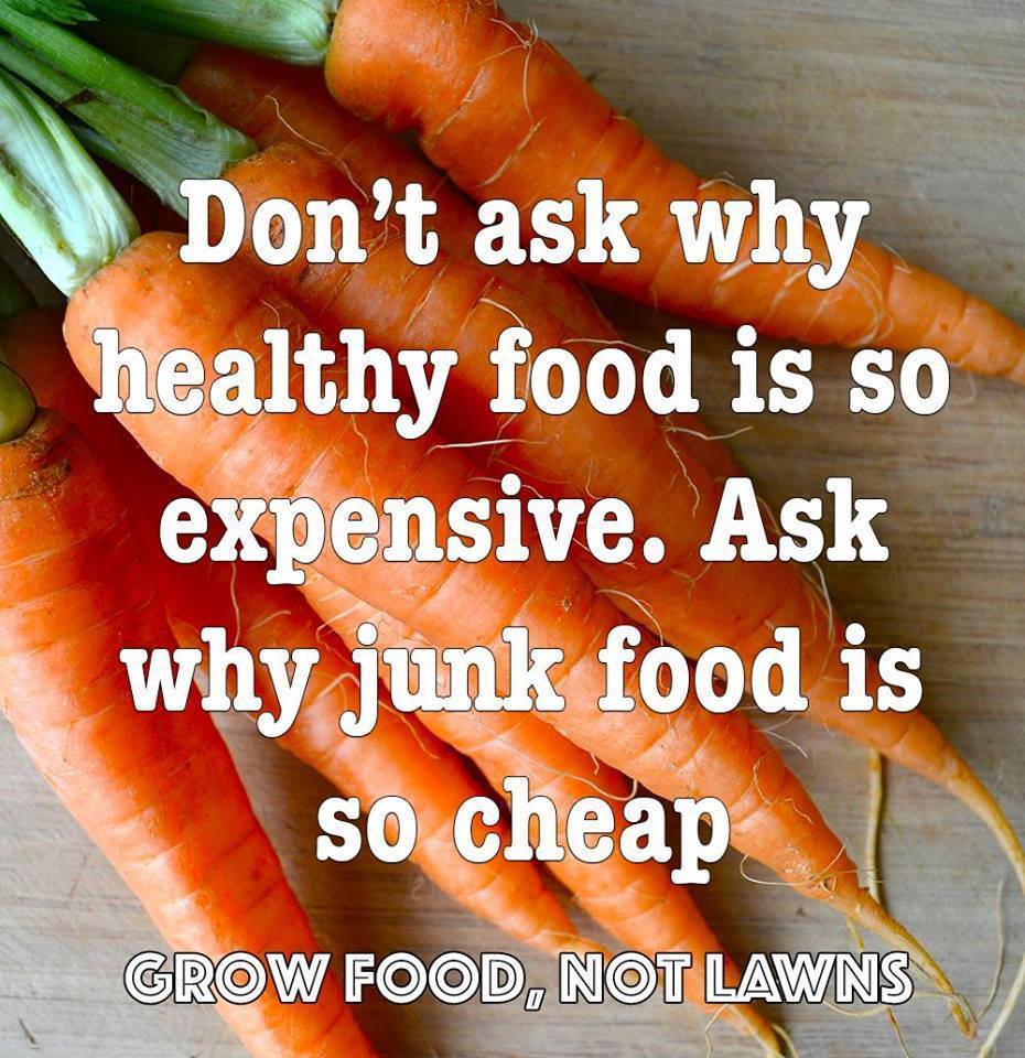 OrganicLiveFood's tweet photo. Why #nutrition is #medicine of future: https://t.co/8WC5O7fSnJ #GMOfree #healthy https://t.co/QMJAjK9ElX