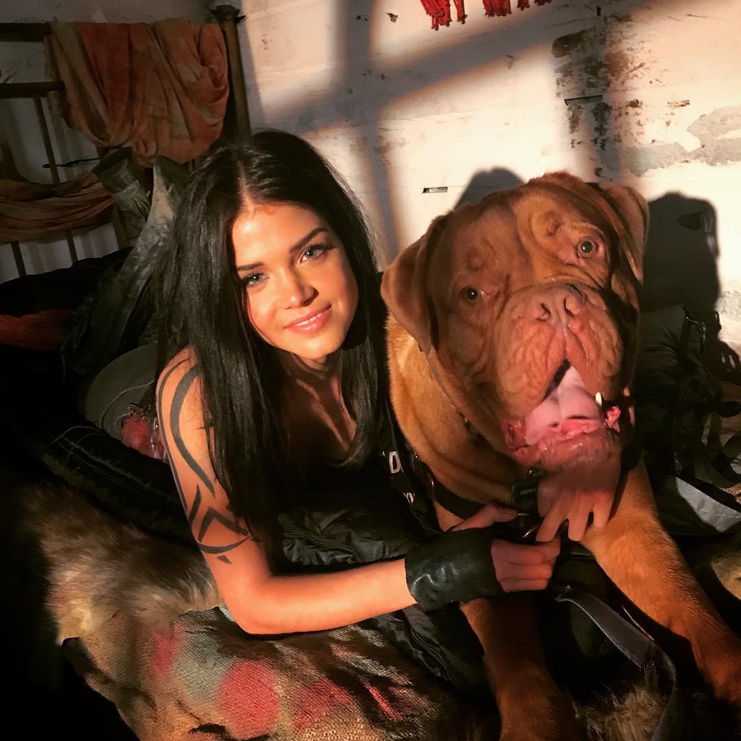 best of the 100 tweet media